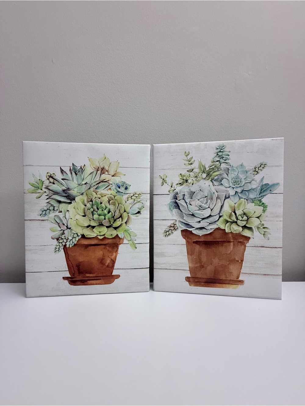 Succulent Potted Plants Canvas Wall Art Set of 2 8x10" Rustic Decor Used